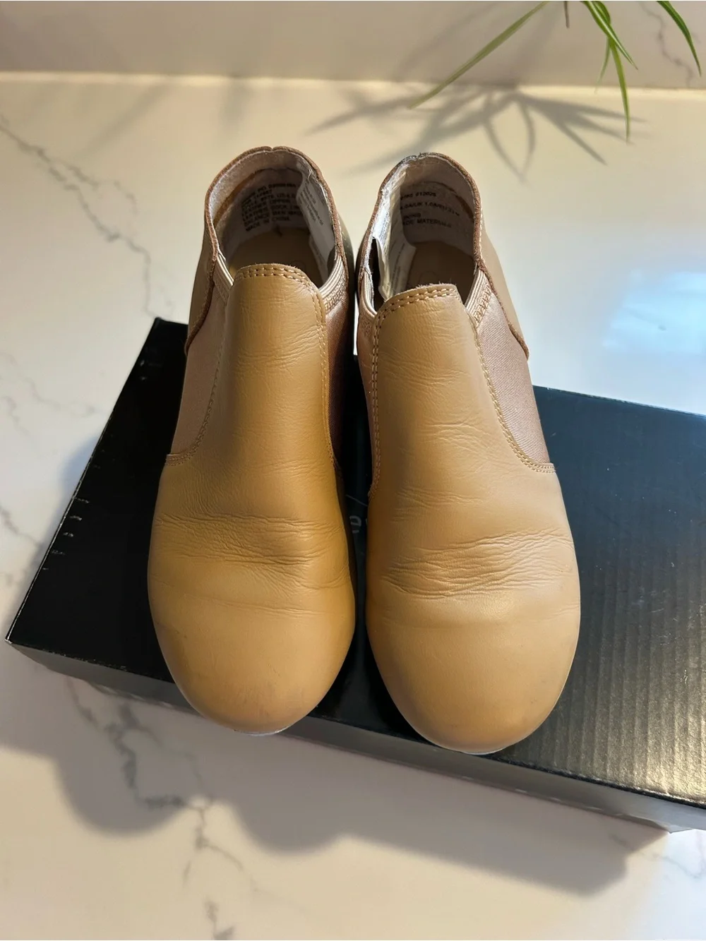 Revolution these fit